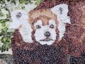 Red_Panda_Tamara_Jaeger_small