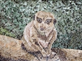 Imagine That meerkat torn paper collage Tamara Jaeger