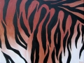 tiger stripes Tamara Jaeger