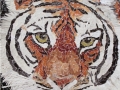 The Danger Lies Within tiger torn paper collage Tamara Jaeger