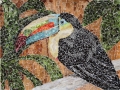 Rainforest Encounter keel-billed toucan torn paper collage Tamara Jaeger