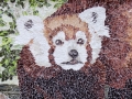 Red_Panda_Tamara_Jaeger_small