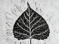 Aspen_black_thumb