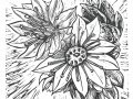 Chick_Hens_Print_crop