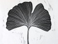 Ginkgo_black_thumb