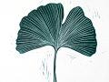 Ginkgo_green_thumb