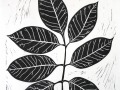 Multi_black_thumb
