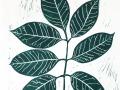 Multi_green_thumb