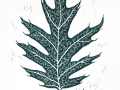 Pin_oak_green_thumb