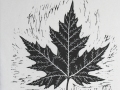 SIlverMaple_black_thumb