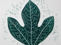 Sassafras_green_thumb