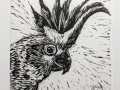 cockatoo_mini_thumb