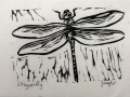 dragonfly_mini_thumb