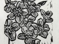 forgetmenot_thumb