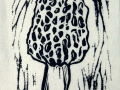 morel_miniprint_small