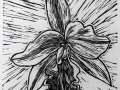 orchid_2_thumb-small