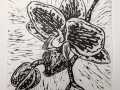 orchid_mini_thumb