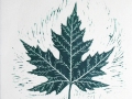 silver_maple_green_thumb