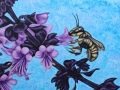 Mason_Bee-sm