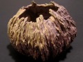 Origin_ceramic_bowl_Tamara_Jaeger