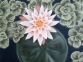 Waterlily 1 Oil Painting Tamara Jaeger