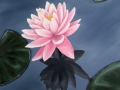 Waterlily 2 Oil Painting Tamara Jaeger