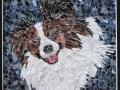 Grendel_Tamara_Jaeger_Papillon_Dog_Collage