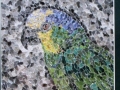 Tango_Tamara_Jaeger_Parrot_Collage
