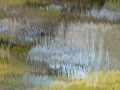 Monet Etude tree reflection Tamara Jaeger