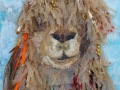 Alpaca_thumb