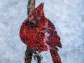 Cardinal_small