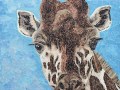 Giraffe2_Savannah_thumb