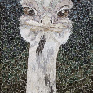 Says Who Rhea Ostrich torn paper collage by Tamara Jaeger