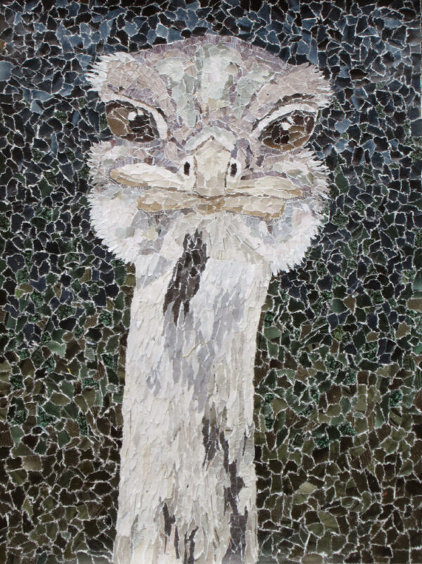 Says Who Rhea Ostrich torn paper collage by Tamara Jaeger