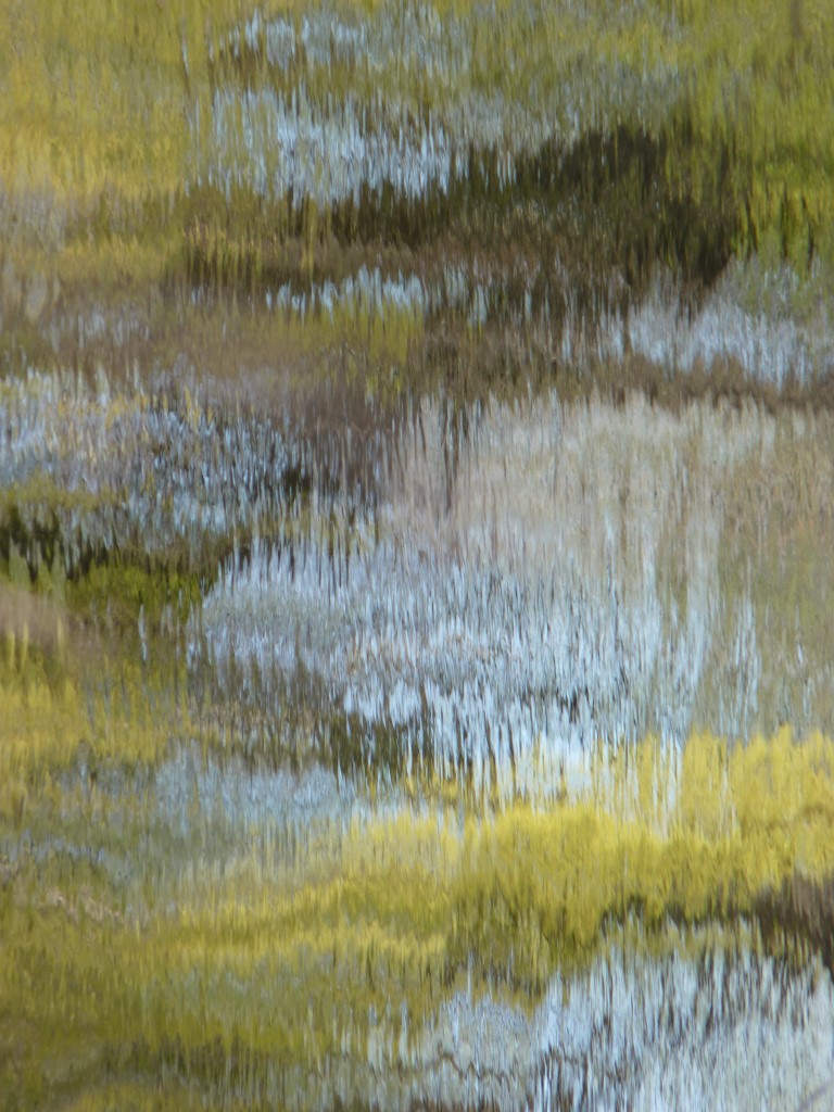 Monet Etude abstract reflection photo by Tamara Jaeger