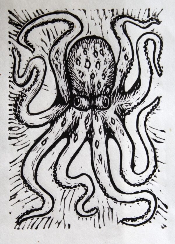 Octopus black and white linocut print by Tamara Jaeger