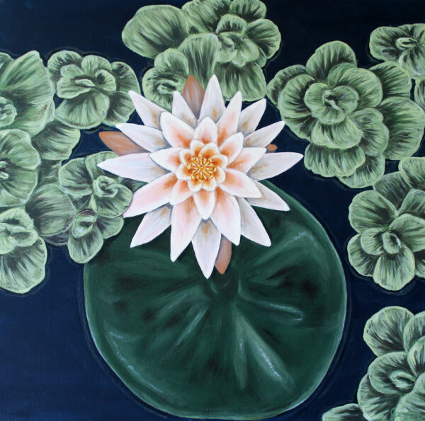 Waterlily with water lettuce oil painting by Tamara Jaeger