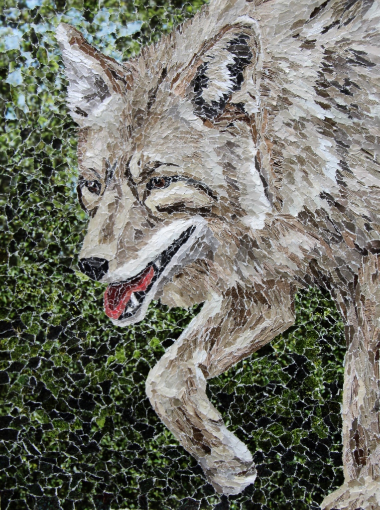 Coyote torn paper collage by Tamara Jaeger