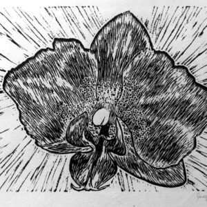 Phalaenopsis moth orchid lino print