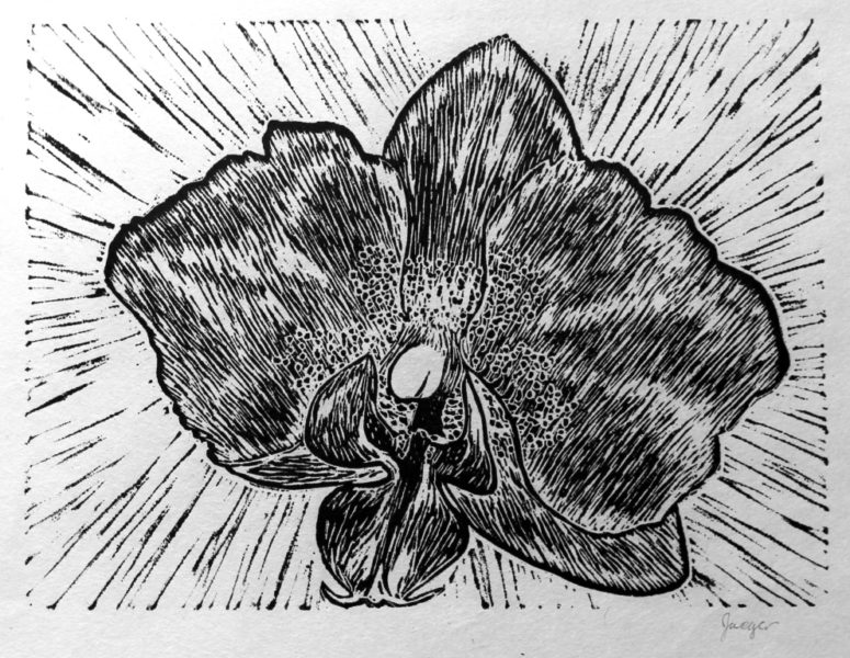 Phalaenopsis Orchid Linocut print by Tamara Jaeger