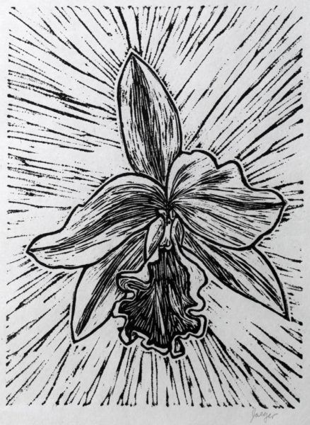 Cattleya orchid linocut print by Tamara Jaeger