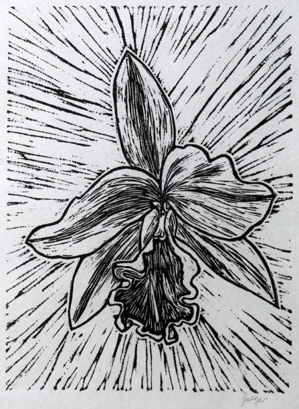 Cattleya orchid flower lino print