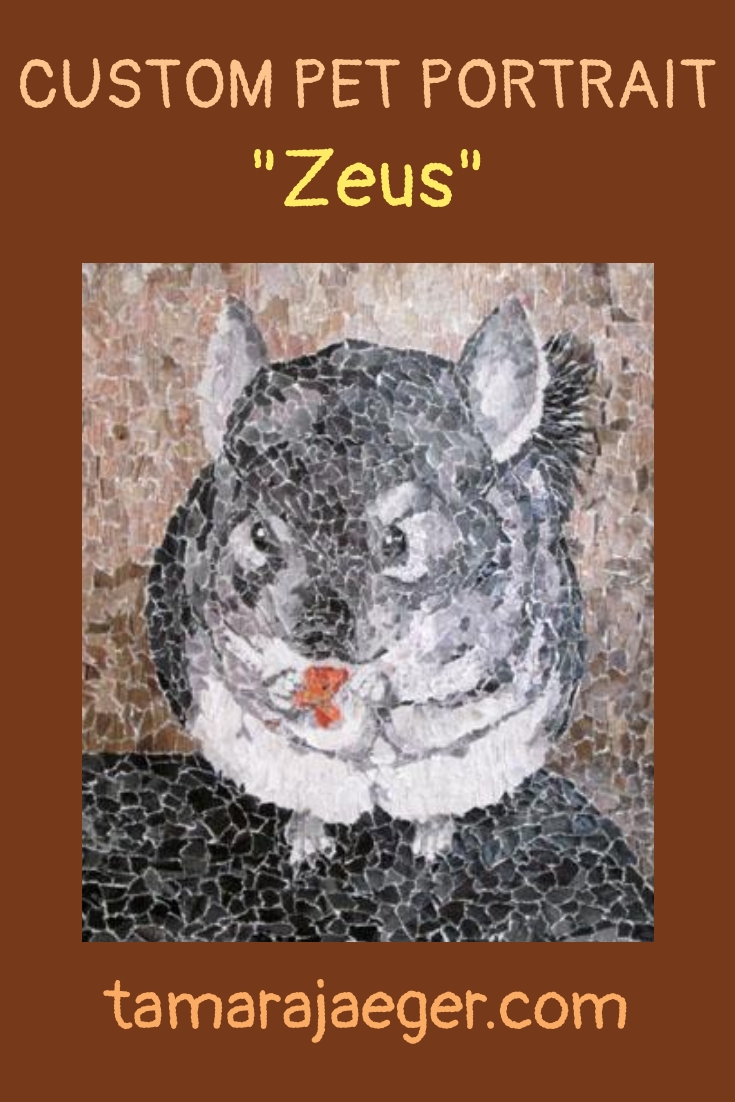 Zeus custom chinchilla pet portrait