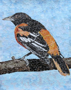 Baltimore Oriole torn paper collage by Tamara Jaeger