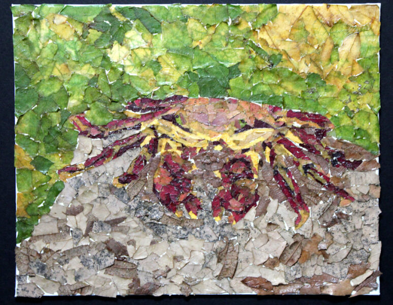 Red Galapagos Crab collage leaf test piece